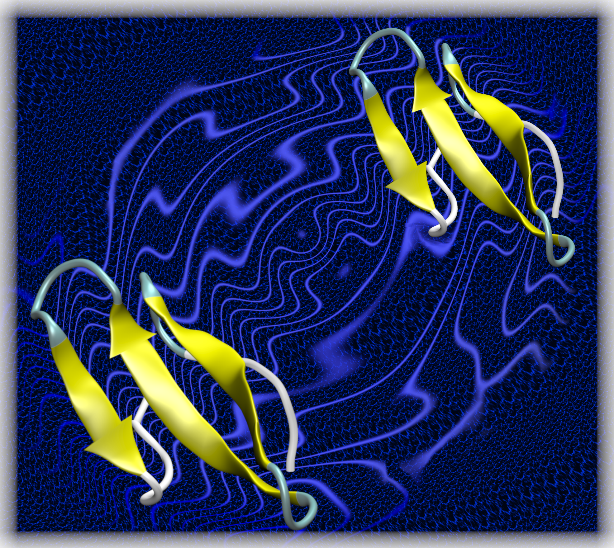 illustration of quantum wavelike interactions in solvated proteins